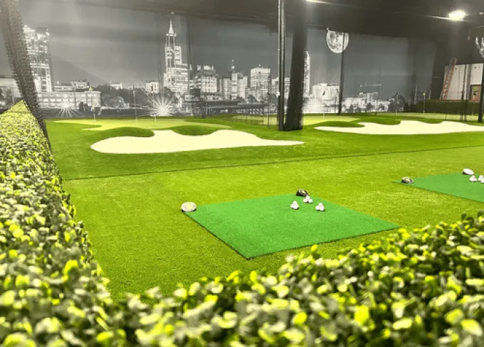 img chipping and putting area 1x